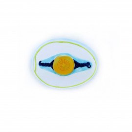 Барельєфна модель «Будова яйця птаха»