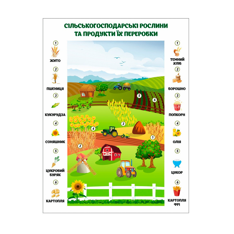 Плакат «Сільськогосподарські рослини та продукти їх переробки»