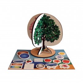 Набор для природоведения на магнитах