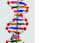Модель структура ДНК