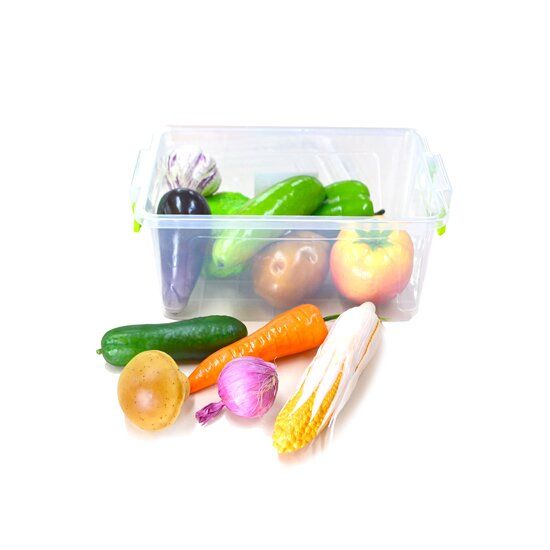 Муляжі овочів ( в контейнері)