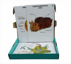 Модель-аппликация «Стройная клетка»