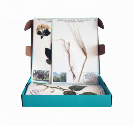 Гербарий "Сельскохозяйственные растения"