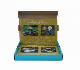 Коллекция "Грибы съедобные и ядовитые"