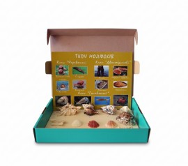 Коллекция «Морское дно»