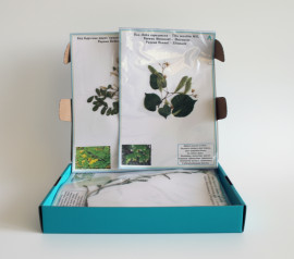 Гербарій "Морфологія рослин"