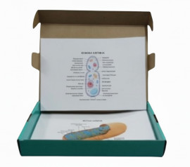 Модель-аплікація Грибна клітина