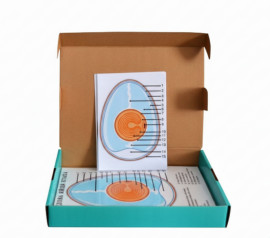 Модель-аплікація "Будова яйця птаха"