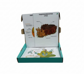 Модель-аплікація "Будова клітини"