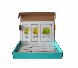 Модель-аплікація "Моногібридне схрещування"