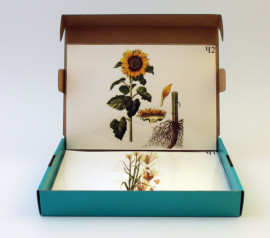 Модель-аплікація "Агроценоз"