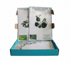 Гербарий "Морфология растений"