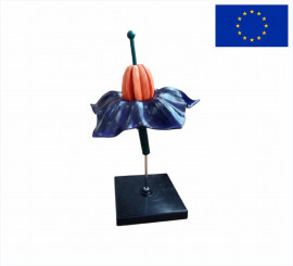 Модель цветок картофеля