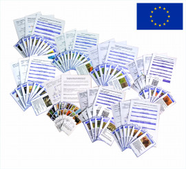 Комплект класифікаційних карток до курсу «Біологія. 7 клас (НУШ)»