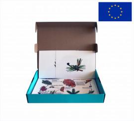 Модель-аплікація "Розмноження сосни"