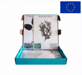 Гербарій "Морфологія листка"