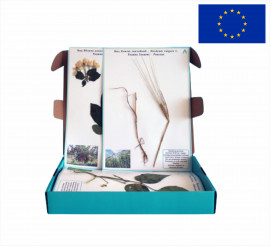 Гербарій "Систематика рослин. Родина Пасльонові. Хрестоцвіті. Складноцвіті"