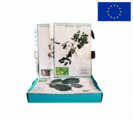 Гербарій "Культурні рослини"