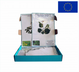 Гербарій "Морфологія рослин"