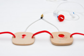 Манекен тренувальний для тампонування ран, кульове вхідне та вихідне поранення, з системою подачі крові