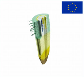 Модель Поздовжній розтин кореня